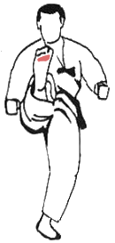 mae_geri_chudan_chusoku