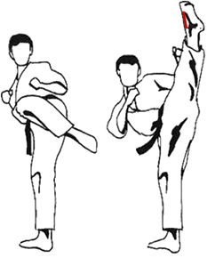 mawashi_geri_jodan_haisoku