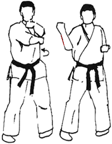 seiken_chudan_uchi_uke