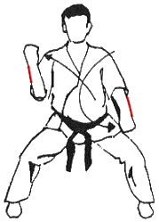 seiken_uchi_uke_gedan_barai