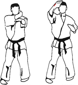 shuto_jodan_uchi_uchi